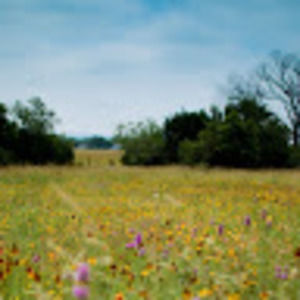 Meet your Posher, Slik